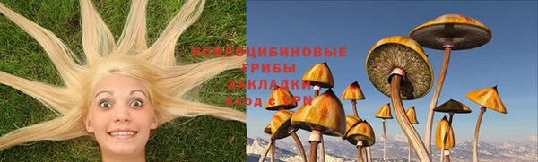 бошки Горняк