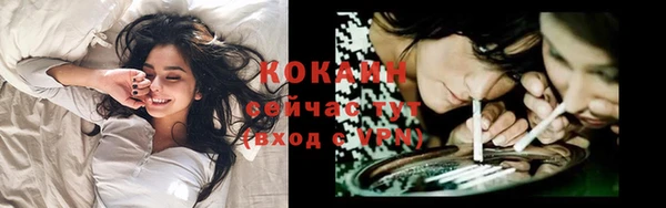 мдпв Горно-Алтайск