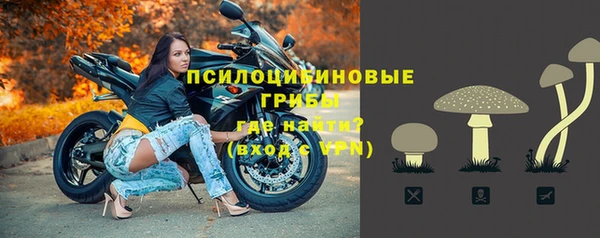 мдпв Горно-Алтайск