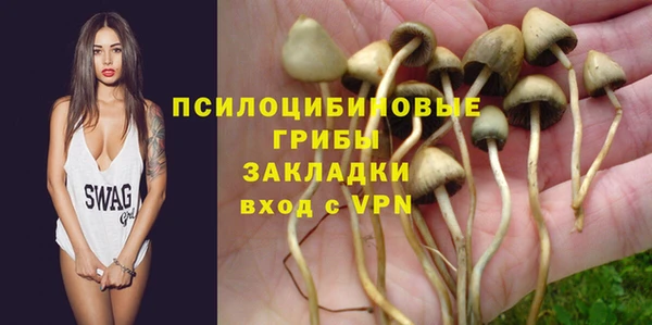 бошки Горняк
