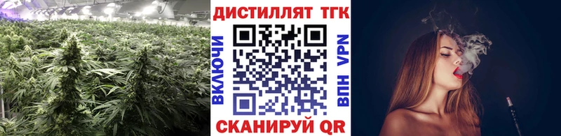 ТГК Wax  блэк спрут вход  Москва 