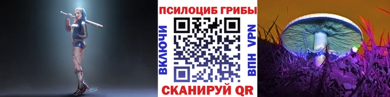 ОМГ ОМГ ссылка  Москва  Псилоцибиновые грибы мухоморы  где купить наркоту 